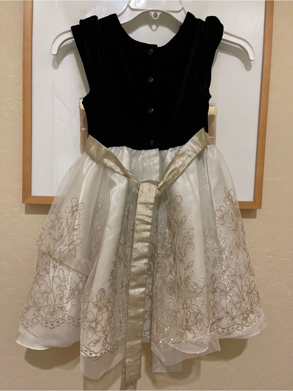 Jona Michelle Black Velvet and Cream Gold-Embroidered Party Dress - Picture 9 of 13